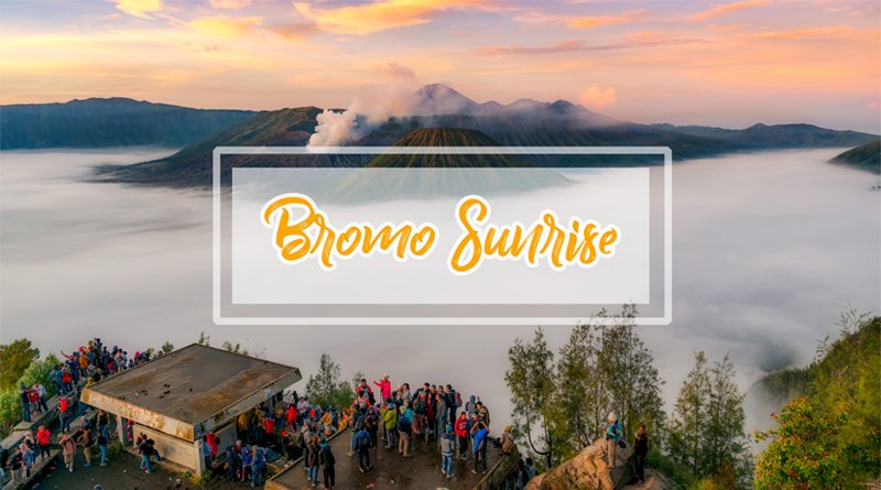 paket wisata open trip