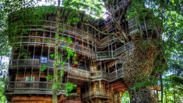 Wisata Rumah Pohon Di Jogja backpacker