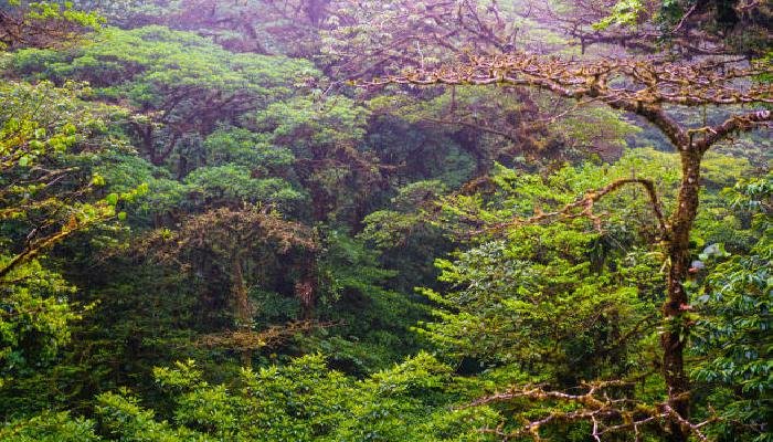 Desa Wisata Lembah Kalipancur