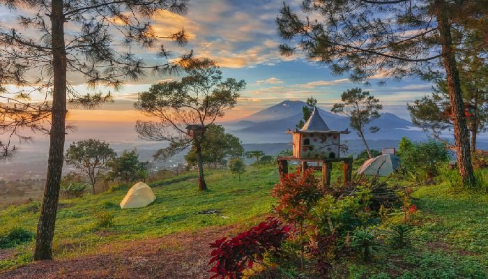 Taman Bunga Celosia Bandungan
